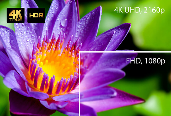 True4K HDR対応