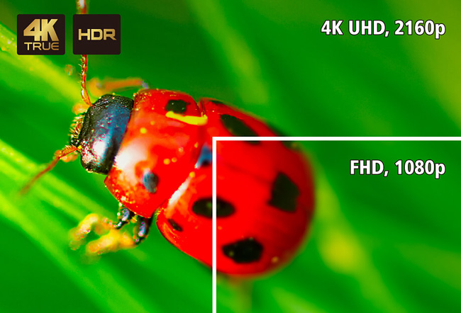 True4K HDR対応