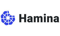 ソフトウェアパートナー - Hamina