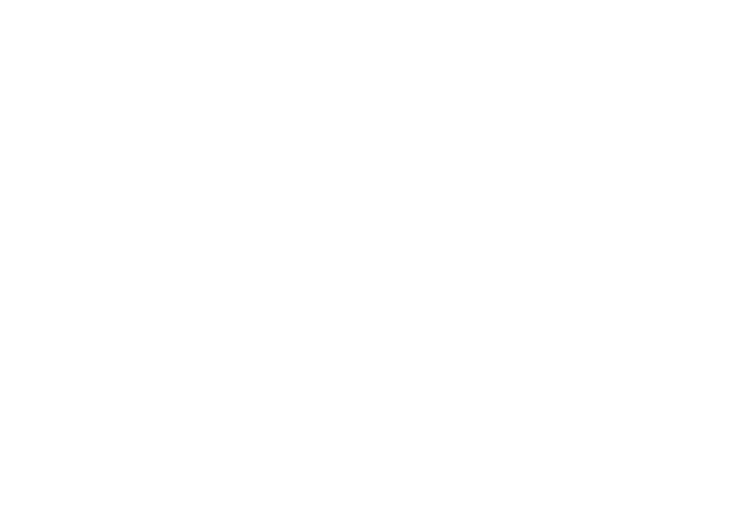 IBS Japan Youtube